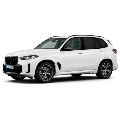 Koła zimowe BMW X5 G05 / X6 G06 LCI M Y-Spoke 741M R21