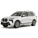 Koła zimowe BMW X7 G07 LCI V-Spoke 750 Reflex Silver R20