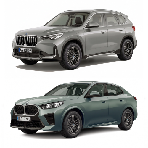 Koła Zimowe BMW X1/X2 Double-Spoke...