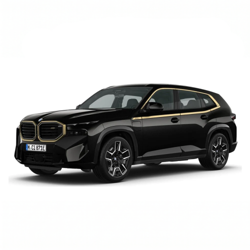 Koła zimowe BMW XM G09 M Double-Spoke 922M Jet Black R22