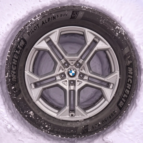 Koła zimowe BMW X5 G65 Double-Spoke 1112 Refined Silver R21