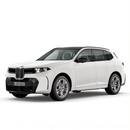 Koła Zimowe BMW X5 G65 Double-Spoke...