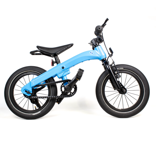 Rowerek BMW Kidsbike 2 w 1 - Niebieski