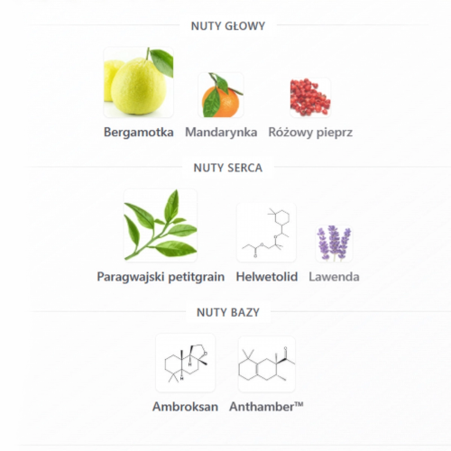 Perfumy BMW „The Scent of Bergamood” EDP