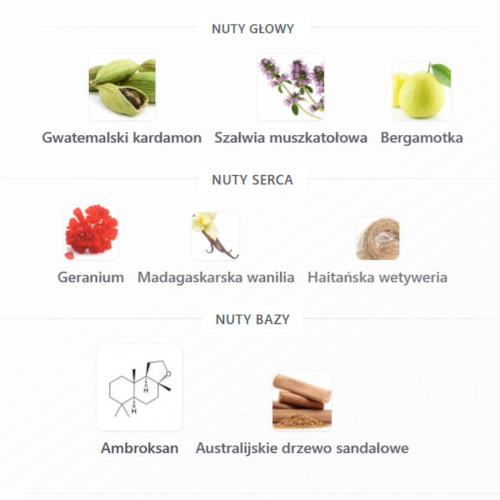 Perfumy BMW „The Scent of Amberness” EDP