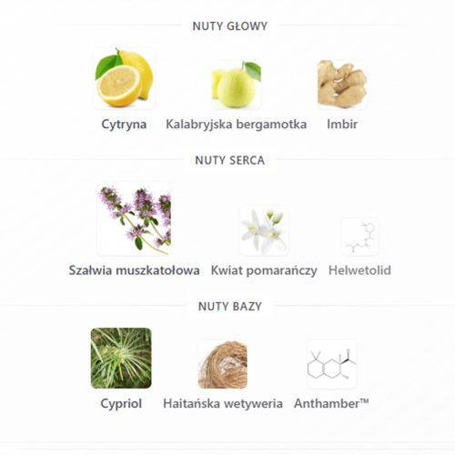 Perfumy BMW M 1972 EDT